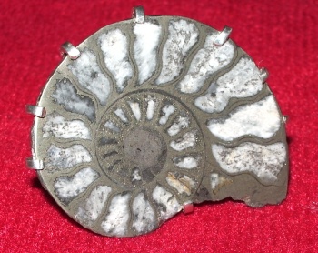 Aromonite ring